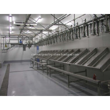 weighing Grading system for poultry processing equipment